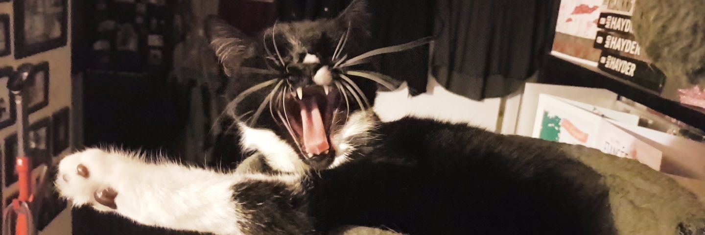 stircrxzy's profile banner image