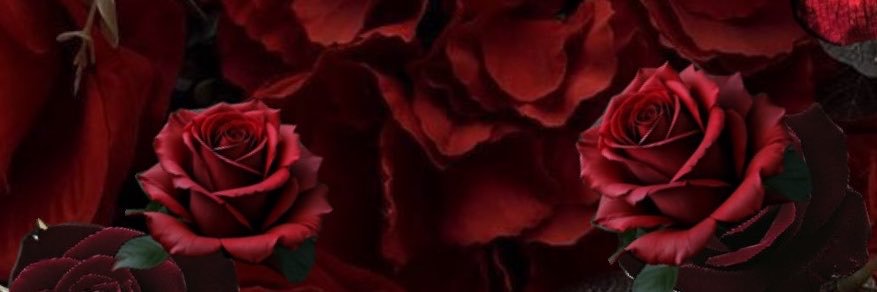 mariannabts's profile banner image