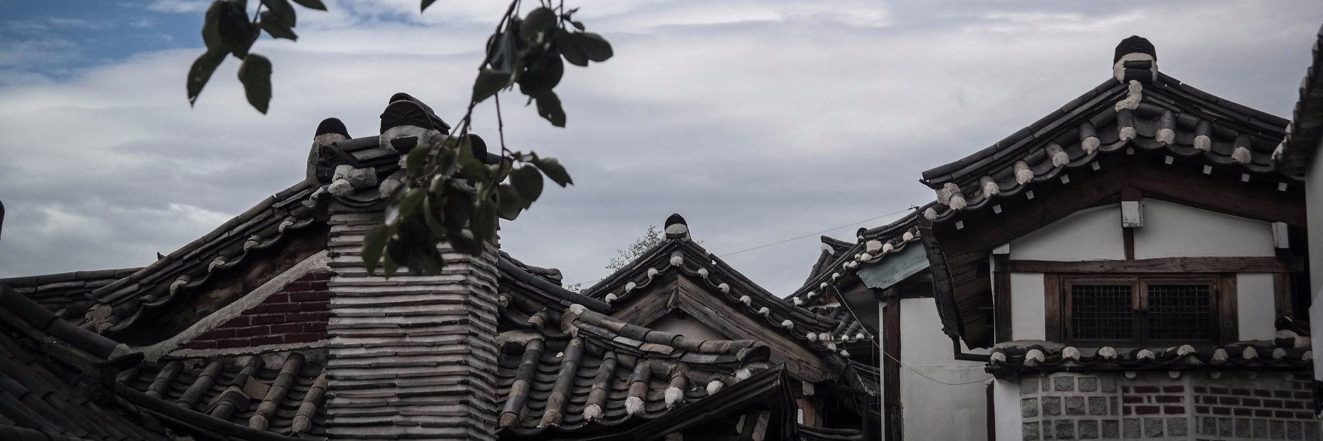Nyaxsta's profile banner image
