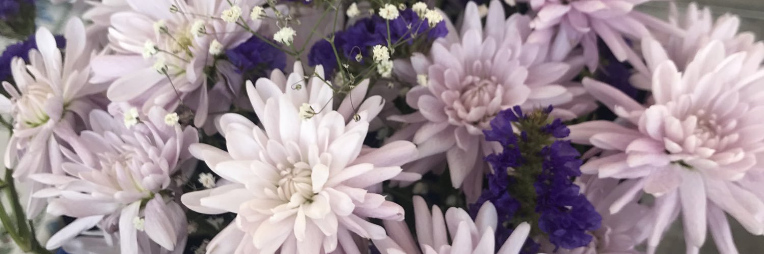 begoo💜 banner