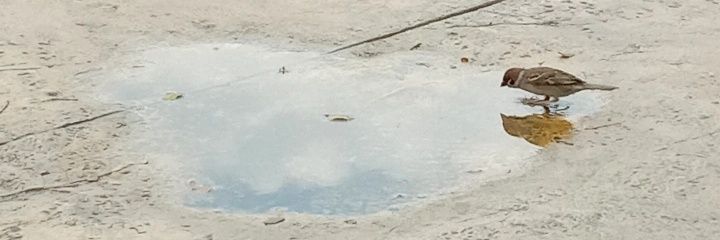 _senjaaaaaa's profile banner image