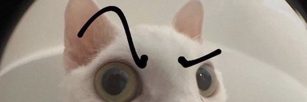 808v808 Profile Banner