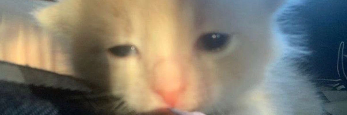 andreaa_jaraa's profile banner image
