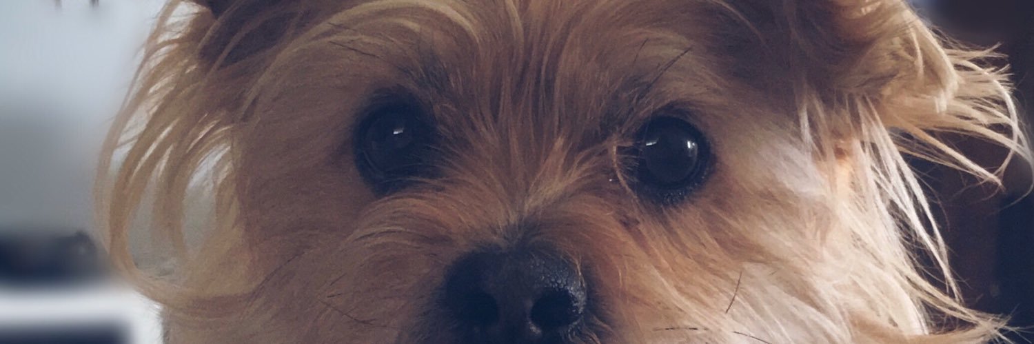 Laaiaaa_'s profile banner image