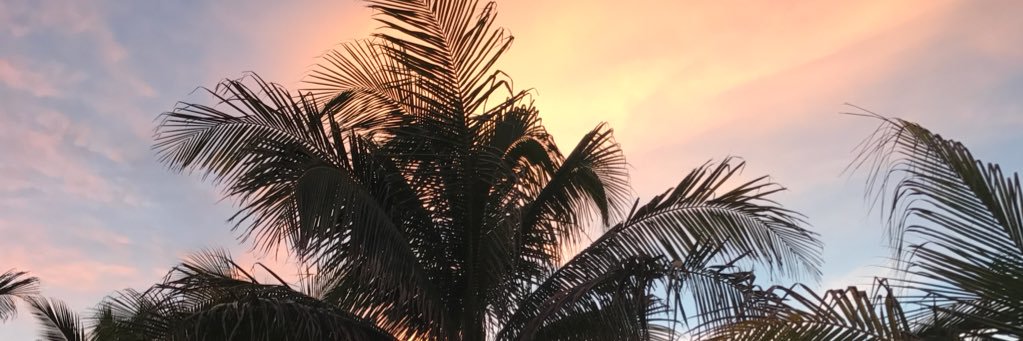 arodsoo's profile banner image