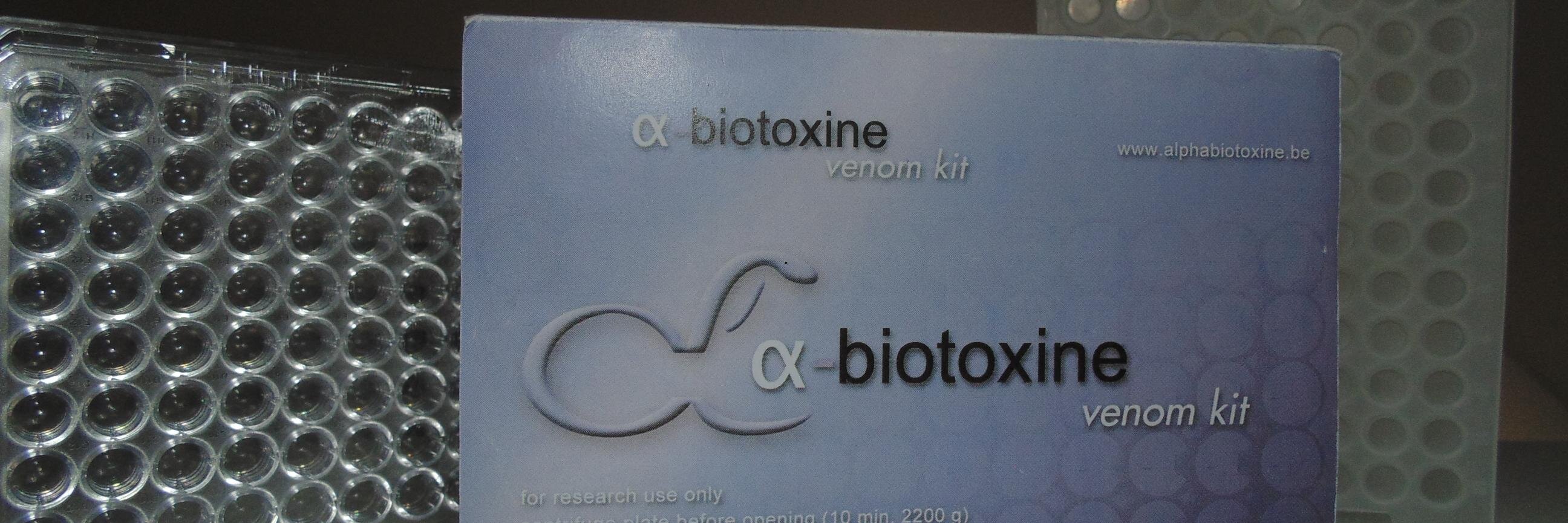 Alphabiotoxine's profile banner image
