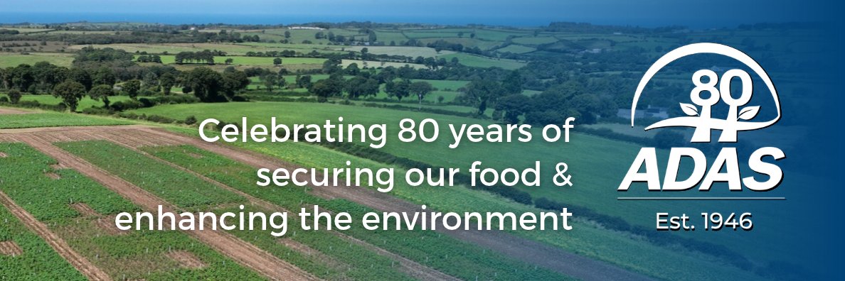ADASGroup's profile banner image
