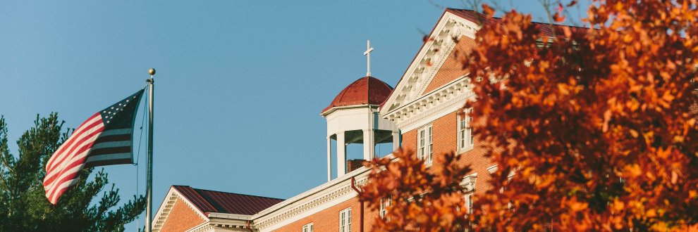 Mount de Sales banner