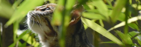 InokashiraZoo Profile Banner