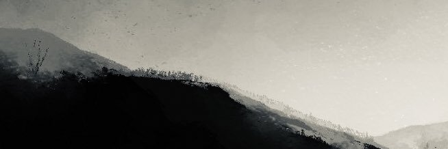豆黄's banner