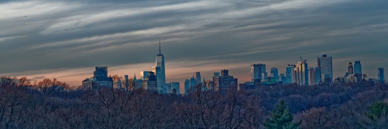 dave448's profile banner image