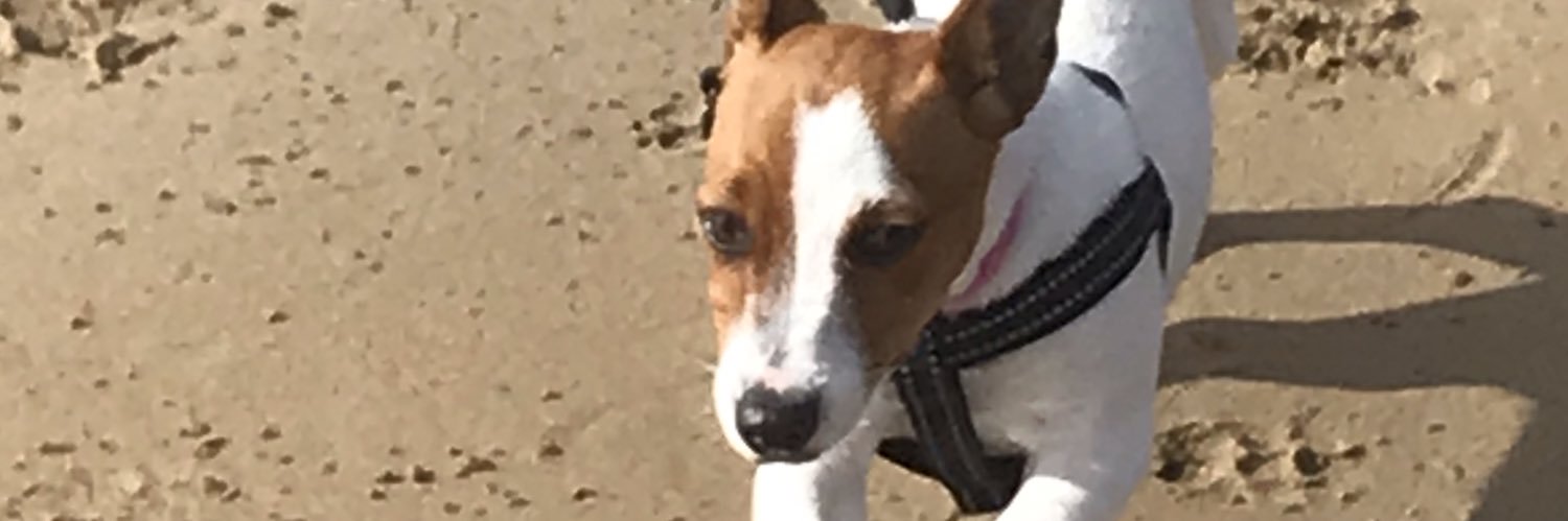 Sean Wilkinson banner