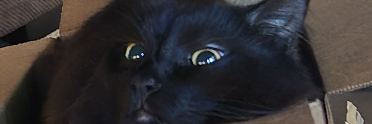 Ella banner
