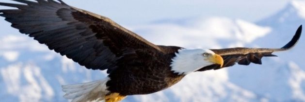 jorgemaucaz's profile banner image