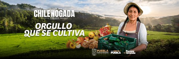 SaludGobPue Profile Banner