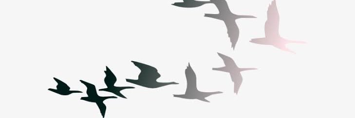 RizaAristaa's profile banner image