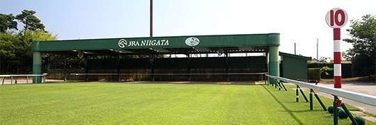 michatooom's profile banner image