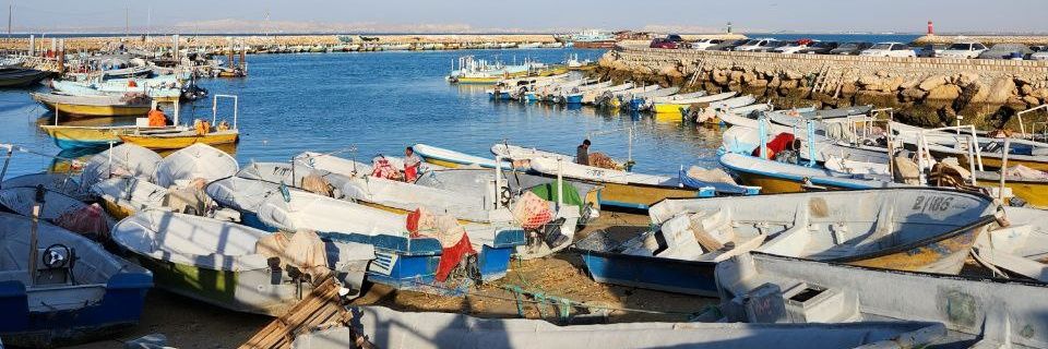 آئورلیانو بوئندیا ۲۱ ام (گانتر سابق) banner