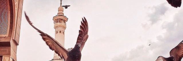 adesaaafitri's profile banner image