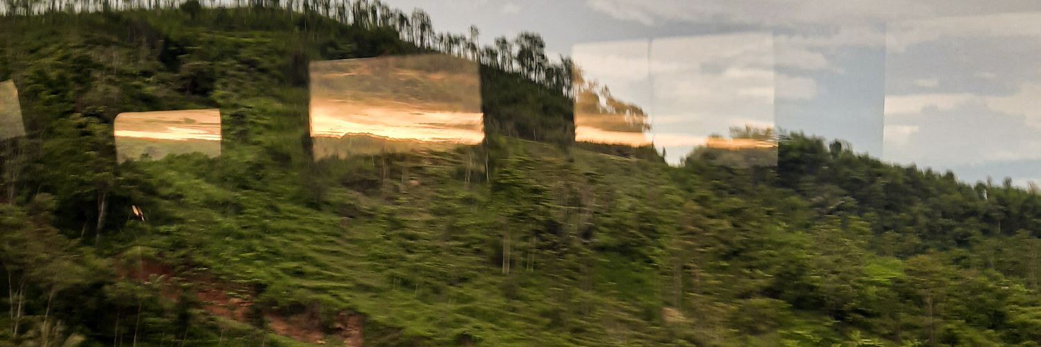egalitann's profile banner image