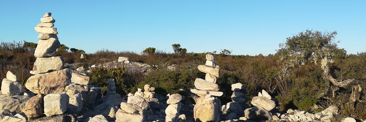 ntommasi's profile banner image