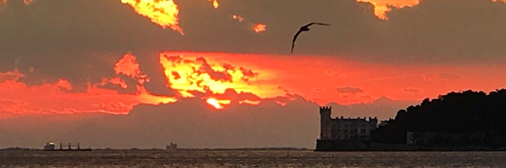 MaxSimonetta's profile banner image