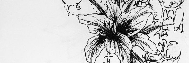 jamey ᶻ 𝗓 𐰁 .ᐟ banner