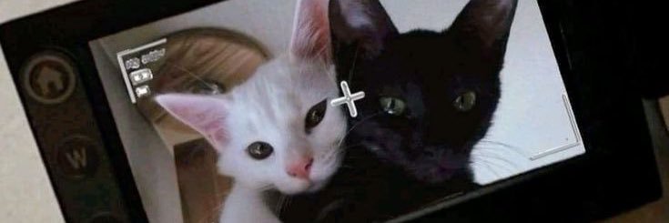 yvmaterial's profile banner image