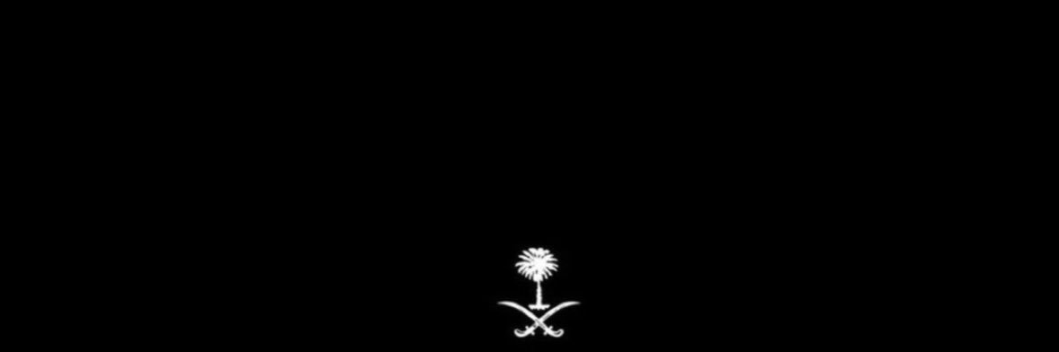 savrxl's profile banner image