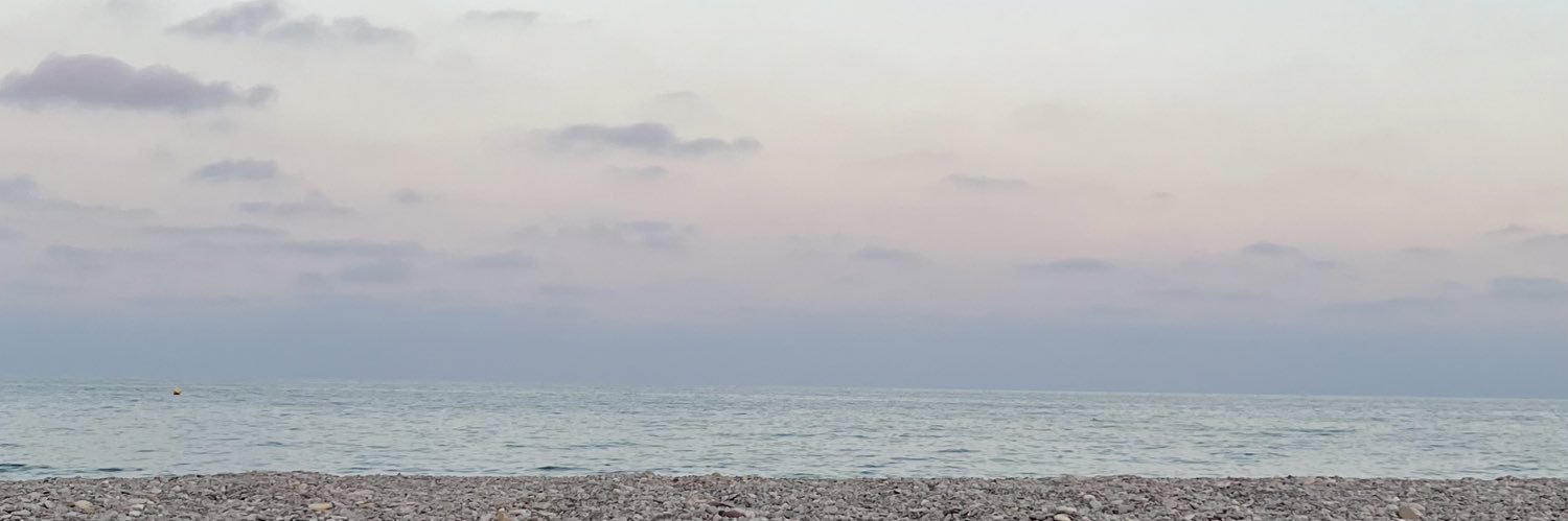 alevaleeroo's profile banner image