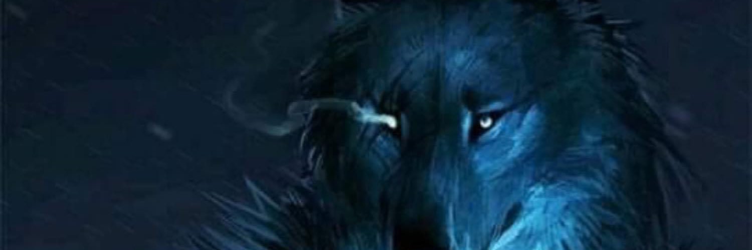 CauUtKho261's profile banner image