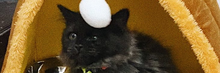 deathpea's profile banner image