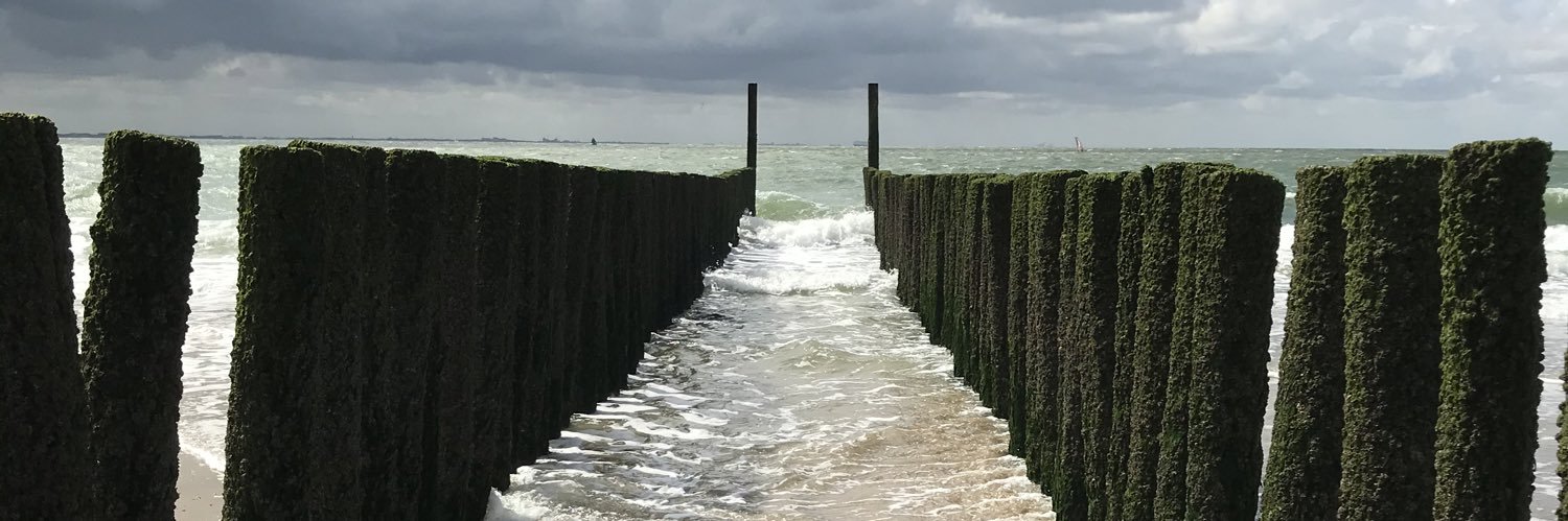 Just call me frank. 🎸 banner