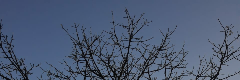 27feb21's profile banner image