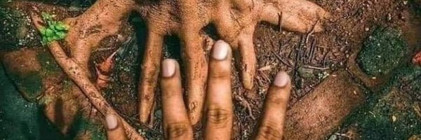 mandimayab Profile Banner