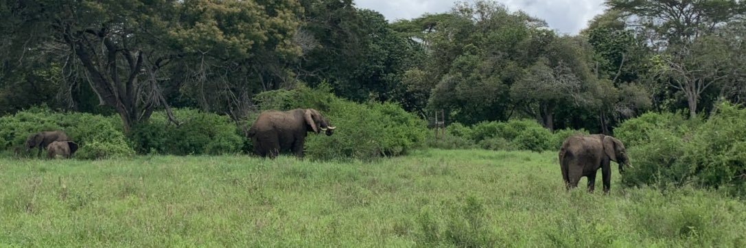 Jane Marie Ong’olo banner
