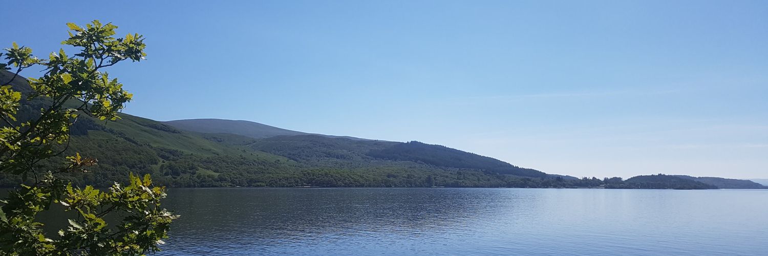 Barbara Flynn banner