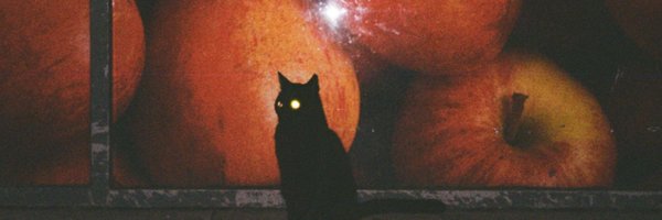 tijger_streep Profile Banner