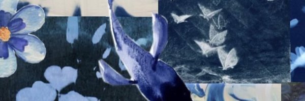 sesearest Profile Banner