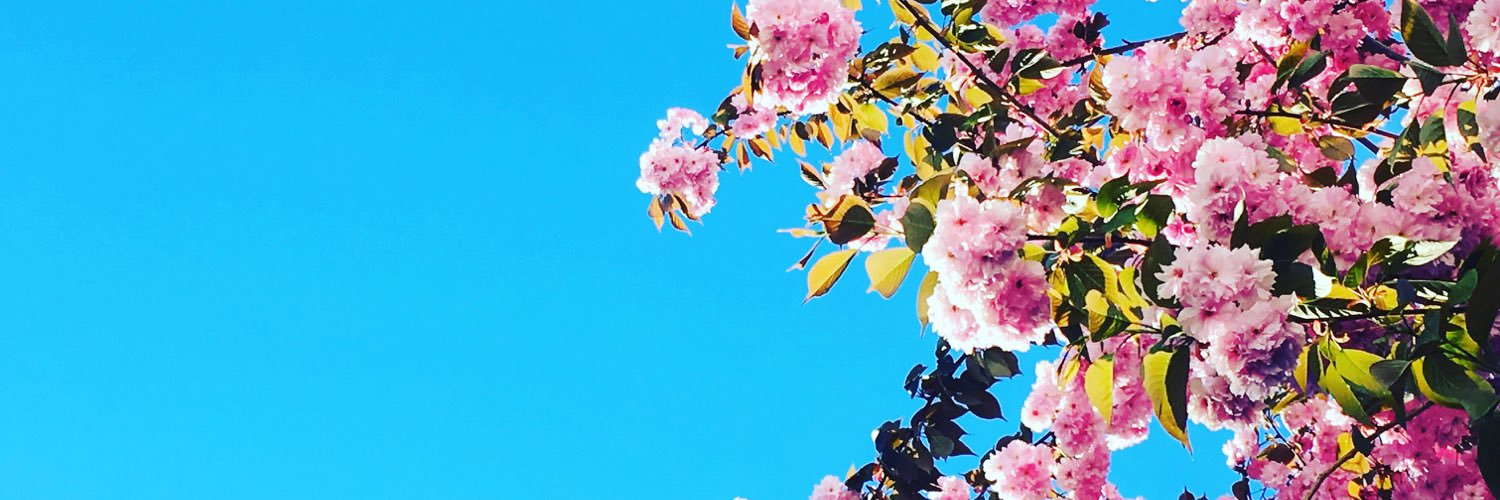 TMSBeautiful's profile banner image