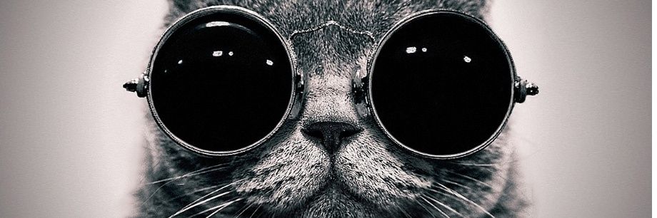 Ederdje's profile banner image