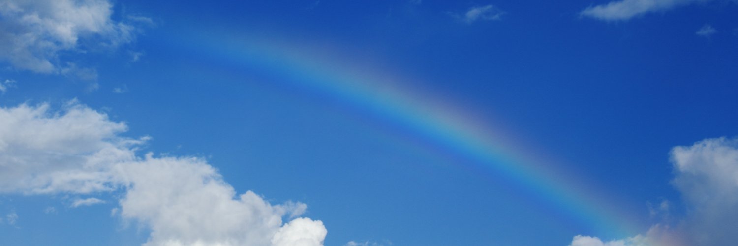 tanzani11's profile banner image