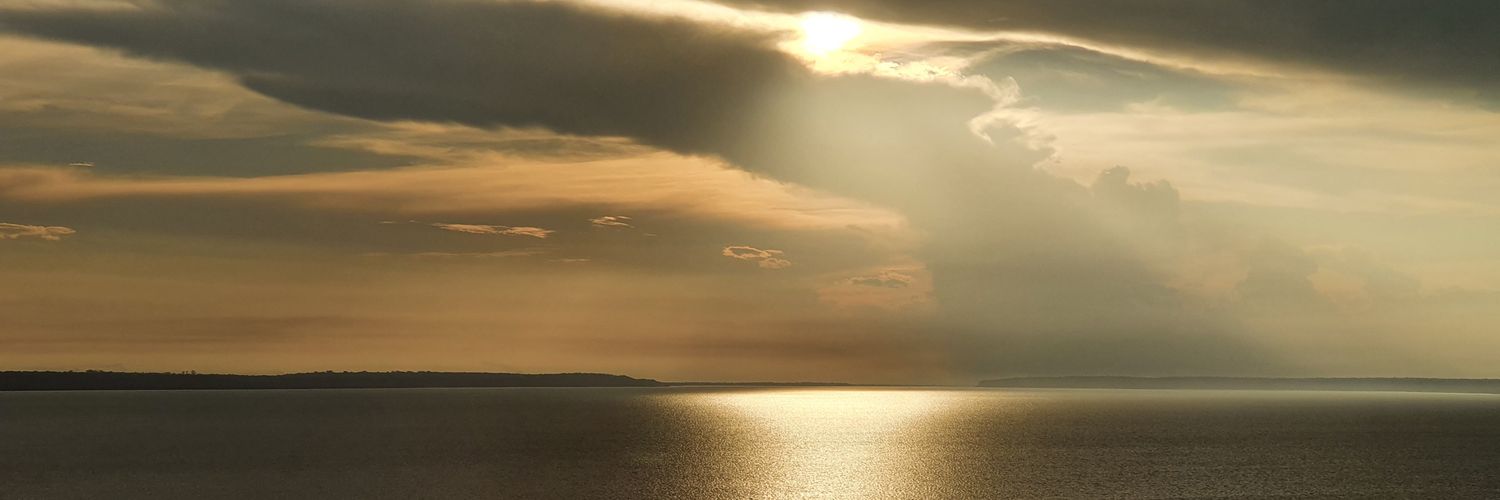 MarciaDede's profile banner image