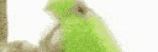 gaston_2199 banner