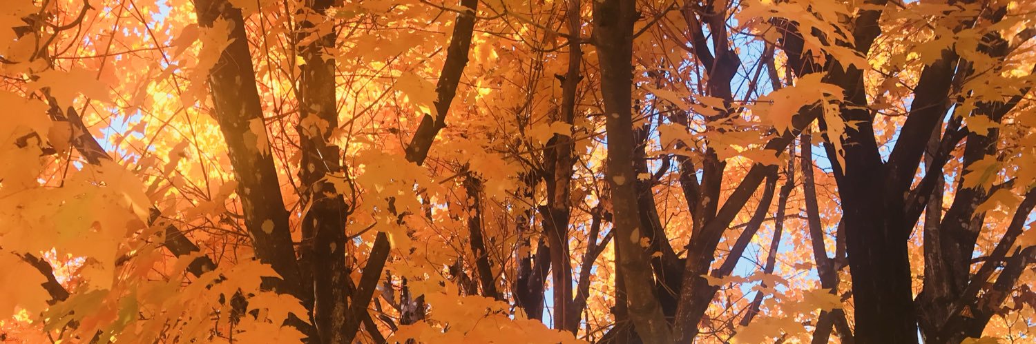 macsmail's profile banner image