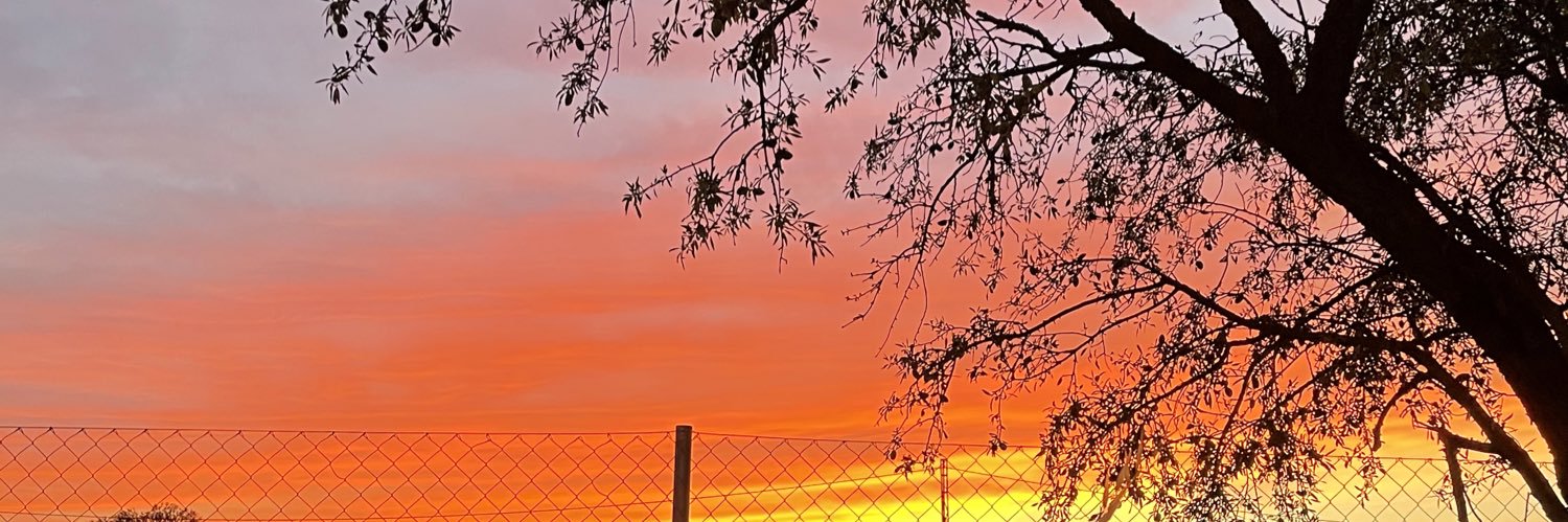 VMazoterasP's profile banner image