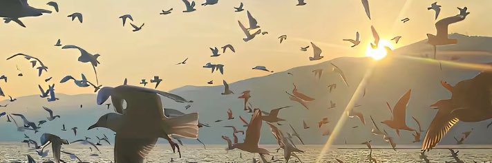 cankrgln_'s profile banner image