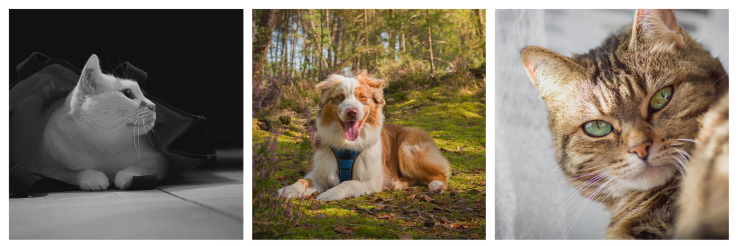 Phot_Aurelien banner