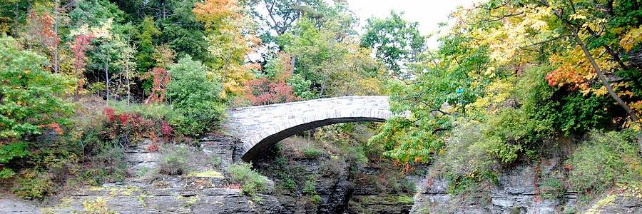 Anne T. Byrne banner