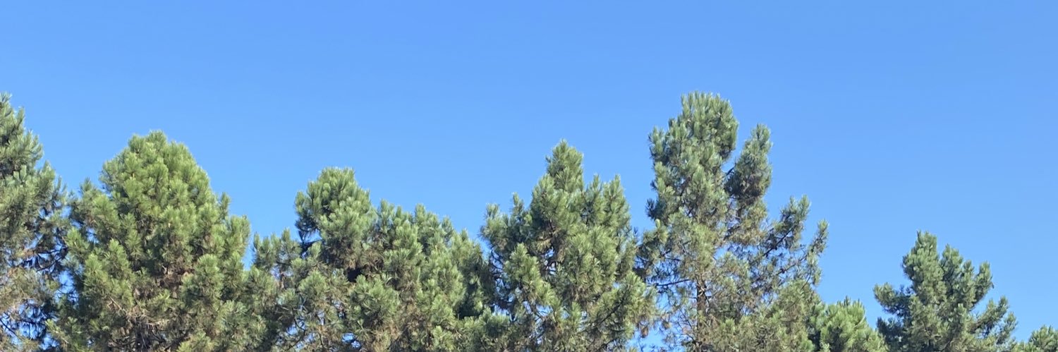 bernabkrky's profile banner image